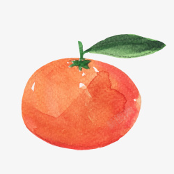 彩色水墨创意橙子食物元素矢量图素材