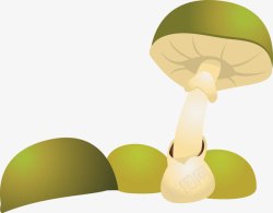 新鲜豆腐汤绿色蘑菇高清图片