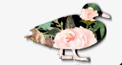 鸭子的剪影黑色花朵鸭子剪影高清图片