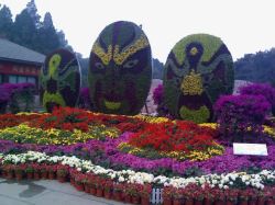 北京植物园景点北京植物园景点高清图片