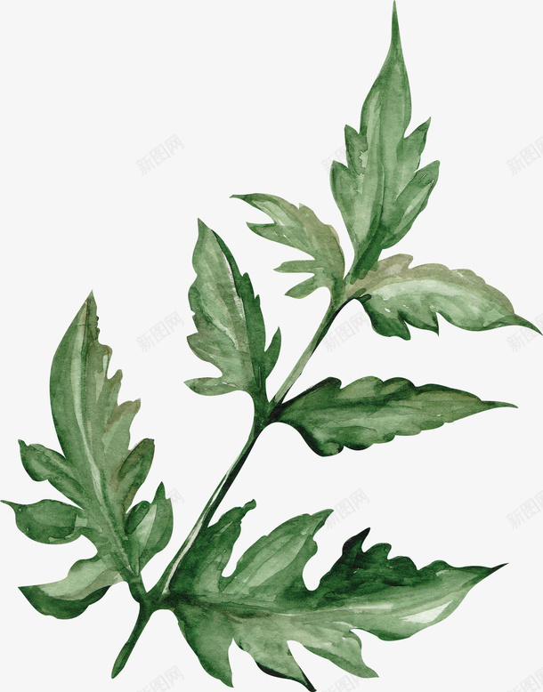 手绘水墨风绿色树叶png免抠素材_88icon https://88icon.com 手绘 手绘水墨风绿色树叶 树叶 植物 水墨风 绿色