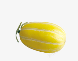 黄色香瓜黄色的香瓜高清图片