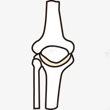 彩绘宠物骨头关节形状图标图标