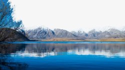 新西兰白鹭湖三素材