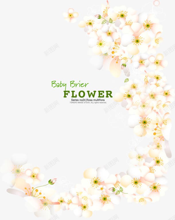 春天唯美白色小花边框png免抠素材_88icon https://88icon.com 唯美 小花 春天 白色 边框