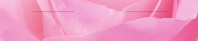 粉色玫瑰纹理海报背景psd设计背景_88icon https://88icon.com 埃菲尔铁塔 大气 浪漫 海报 玫瑰花 粉色 纹理 背景