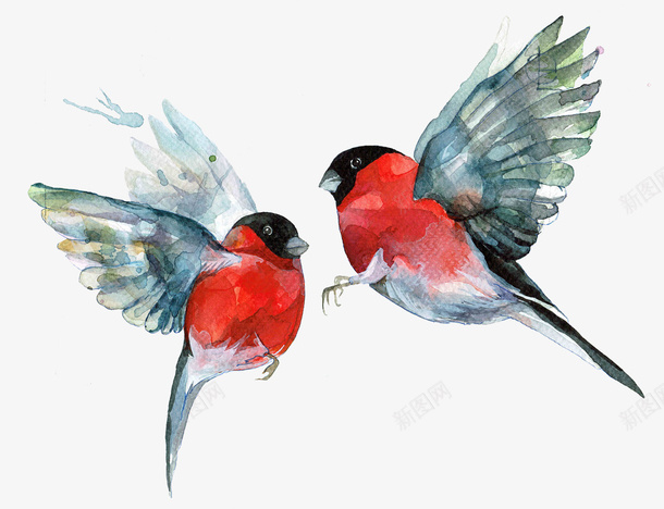 两只红鸟png免抠素材_88icon https://88icon.com 动物 比翼双飞 红色 鸟