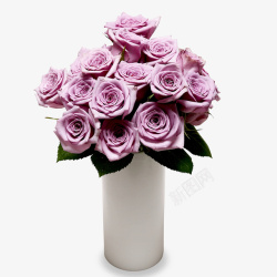 粉紫色花朵素材