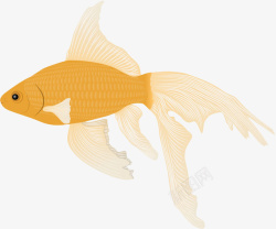 黄色扁平化金鱼素材
