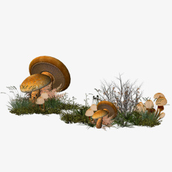 卡通蘑菇草装饰1素材