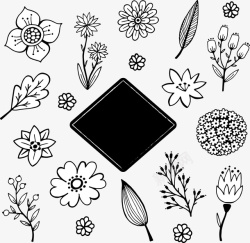 黑白花朵树叶装饰矢量图素材