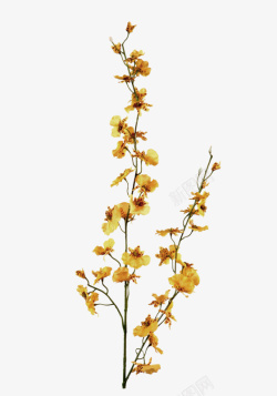 黄色树枝花朵装饰图案素材