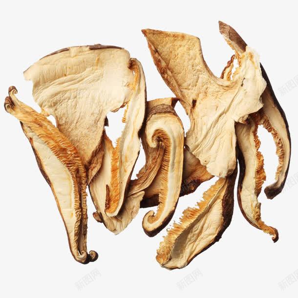 风干的咸味蘑菇png免抠素材_88icon https://88icon.com 干货 草菇 菌菇 蘑菇 风干 风干植物 香菇