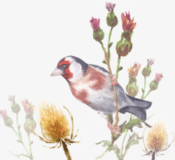 卡通手绘花卉与鸟素材