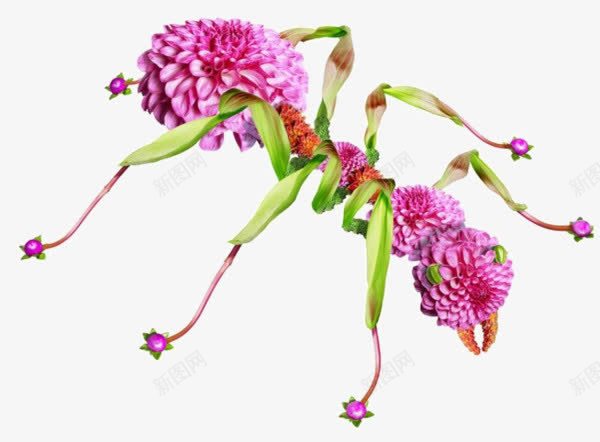 手工编织的花朵蚂蚁png免抠素材_88icon https://88icon.com 手工编织 花朵 蚂蚁