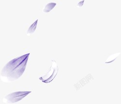 紫色飘扬花瓣海报效果素材