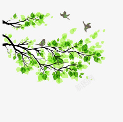 小鸟树枝绿叶树枝小鸟高清图片
