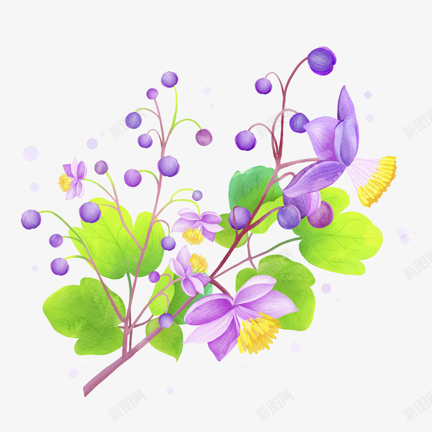 清新紫色鲜花插画png免抠素材_88icon https://88icon.com 叶子 夏天 植物 清新紫色鲜花插画 紫花 绿叶 自然 花朵