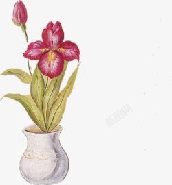 油画花瓶花朵写生素材