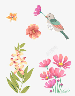 手绘小鸟和花朵花束素材