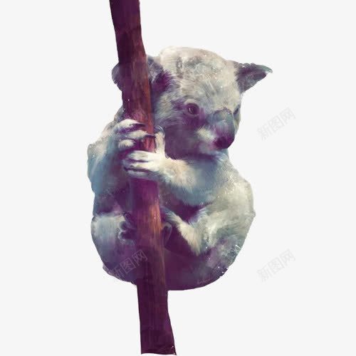 考拉水彩画片png免抠素材_88icon https://88icon.com 手绘动物 澳大利亚 爬树 考拉 色彩画 蓝紫色