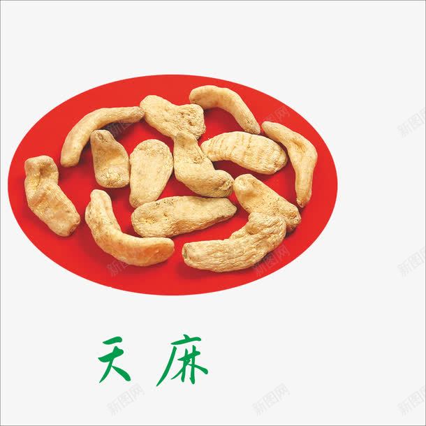 天麻png免抠素材_88icon https://88icon.com 中药 名贵中药 本草纲目 药材