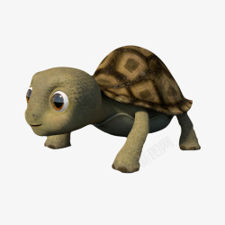 爬行动物陆龟可爱动画陆龟高清图片