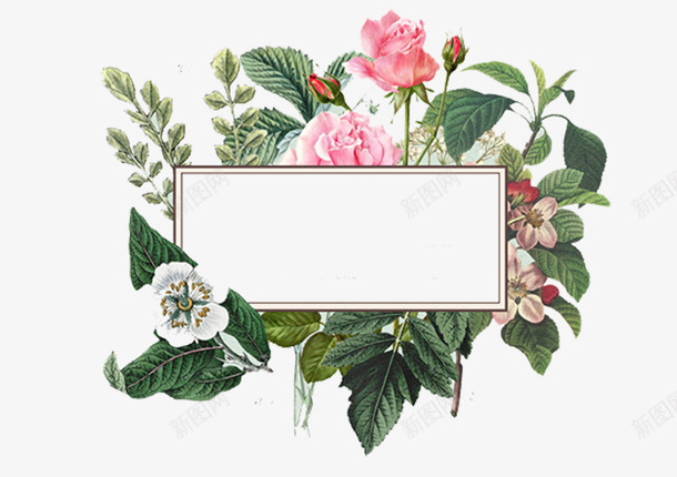 玫瑰画框png免抠素材_88icon https://88icon.com 植物 玫瑰花 画框 绿叶 绿色 花朵 装饰