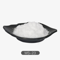 ws23粉末精盐凉味剂素材