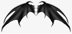 蝙蝠对翼素材