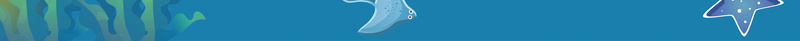卡通人物海底世界旅游宣传海报psd设计背景_88icon https://88icon.com 儿童 卡通 可爱 小海豚 旅游宣传海报 海底世界 海洋 童趣 蓝色 鱼群