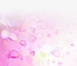 粉色花瓣情人节海报背景素材
