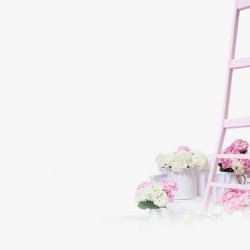 粉色花瓶梯子素材