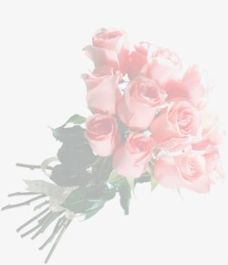 粉色玫瑰花束背景素材