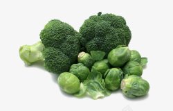 绿色蔬菜西兰花包菜素材