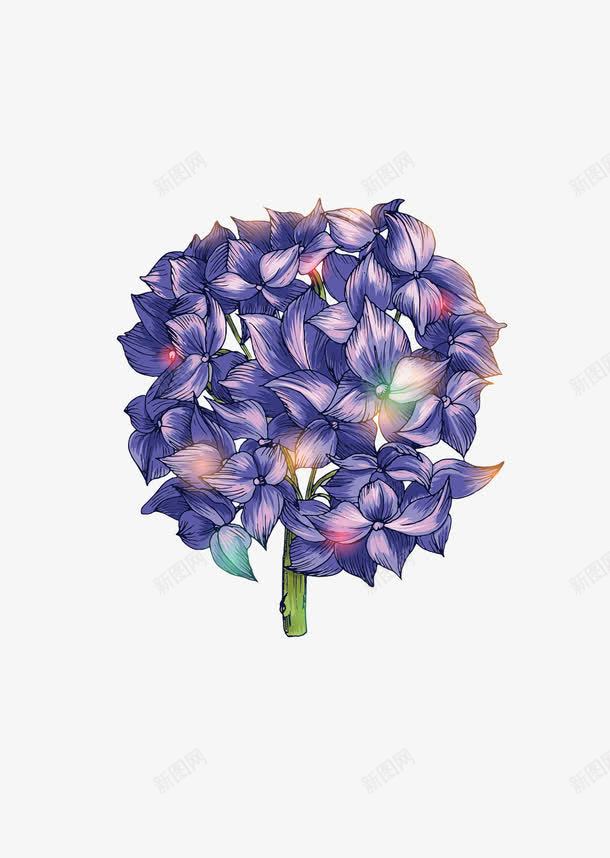 手绘绣球花png免抠素材_88icon https://88icon.com 手绘 紫色 紫阳花 绣球花