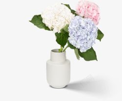 花瓶与花束r素材