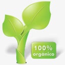 叶自然有机植物香港绿宝png免抠素材_88icon https://88icon.com leaf nature organic plant 叶 有机 植物 自然