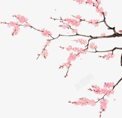 春天美丽粉色桃花素材