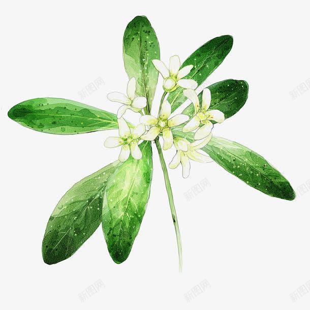 花朵鲜花花卉绿色清新花束png免抠素材_88icon https://88icon.com 卡通鲜花图片 手绘花朵图片 抽象花朵 抽象花朵图片 清新 绿植花卉 绿色 花束 鲜花花卉