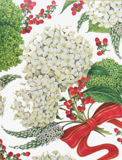 彩绘花卉植物图案素材
