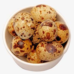 鹌鹑蛋鹑鸟蛋鹌鹑卵素材