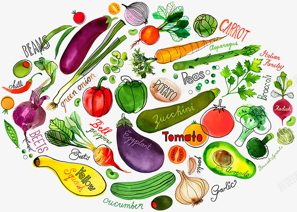 手绘蔬菜png免抠素材_88icon https://88icon.com 手绘 绿色食品 营养 蔬菜 装饰图案
