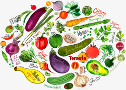 手绘蔬菜素材