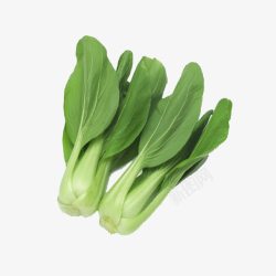 油菜蔬菜绿色食品素材