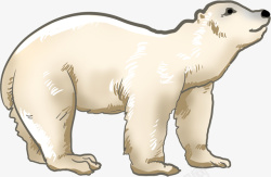 北极熊可爱素材