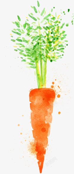 卡通水彩蔬菜萝卜素材