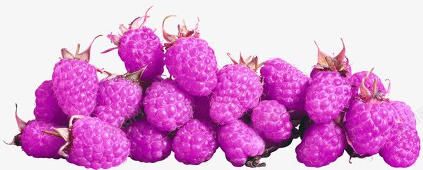 紫色诱人桑葚png免抠素材_88icon https://88icon.com 新鲜多汁桑葚 桑葚 水果 紫色 美味桑葚水果