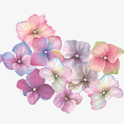 彩色唯美装饰小型花朵装饰图素材