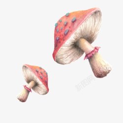 手绘水彩蘑菇素材